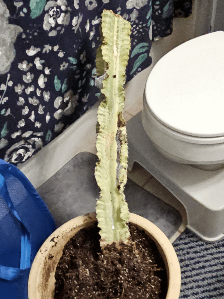 Need help identifying