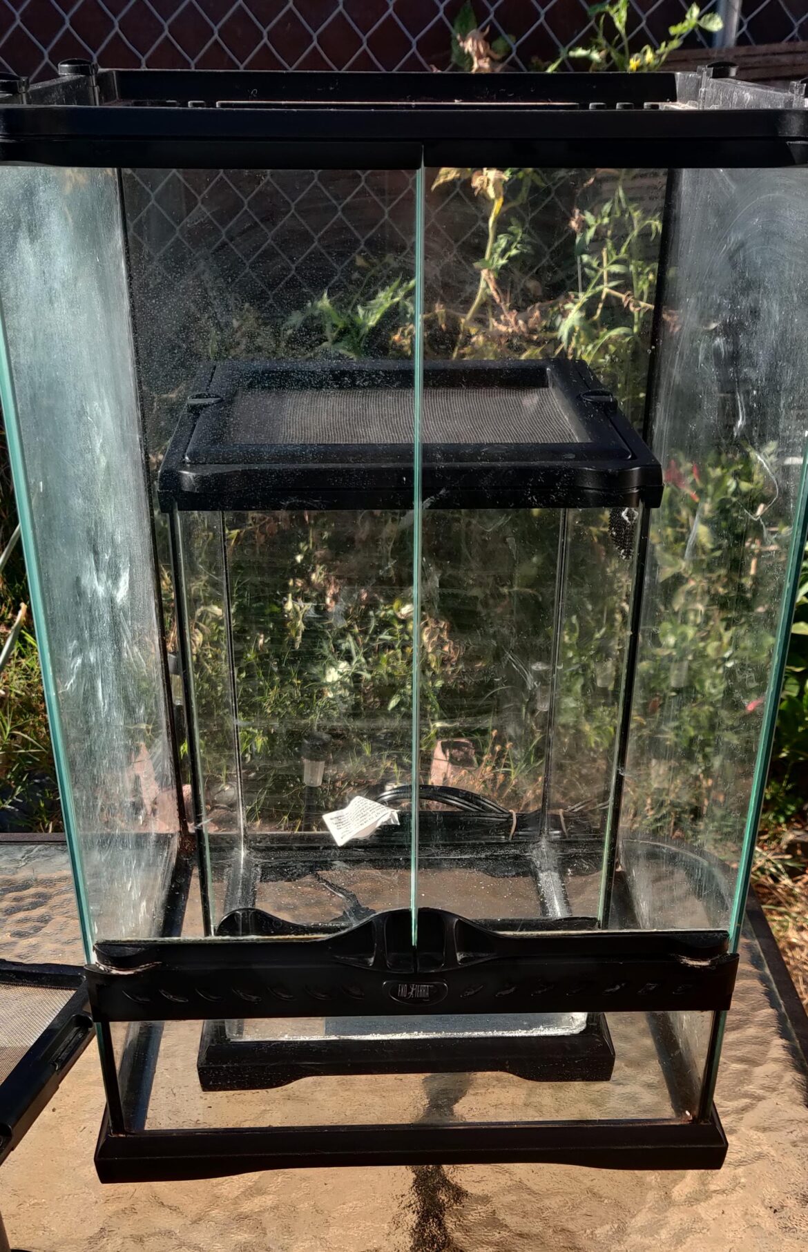 3.3G & 10G exoterra paludarium ideas