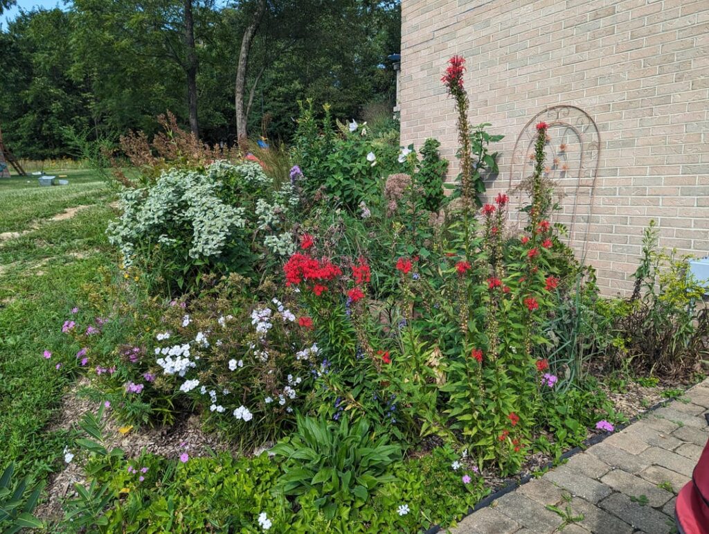 Not bad for year two!