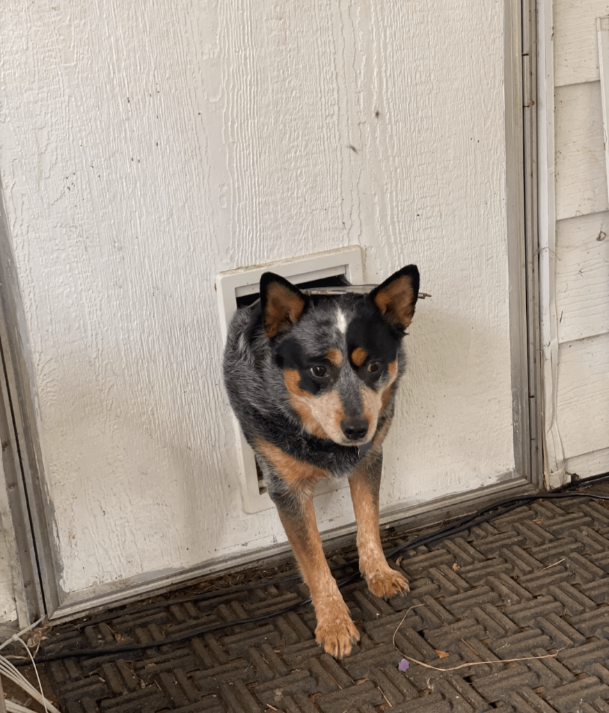 How to meet singles who want to homestead? Any tips?