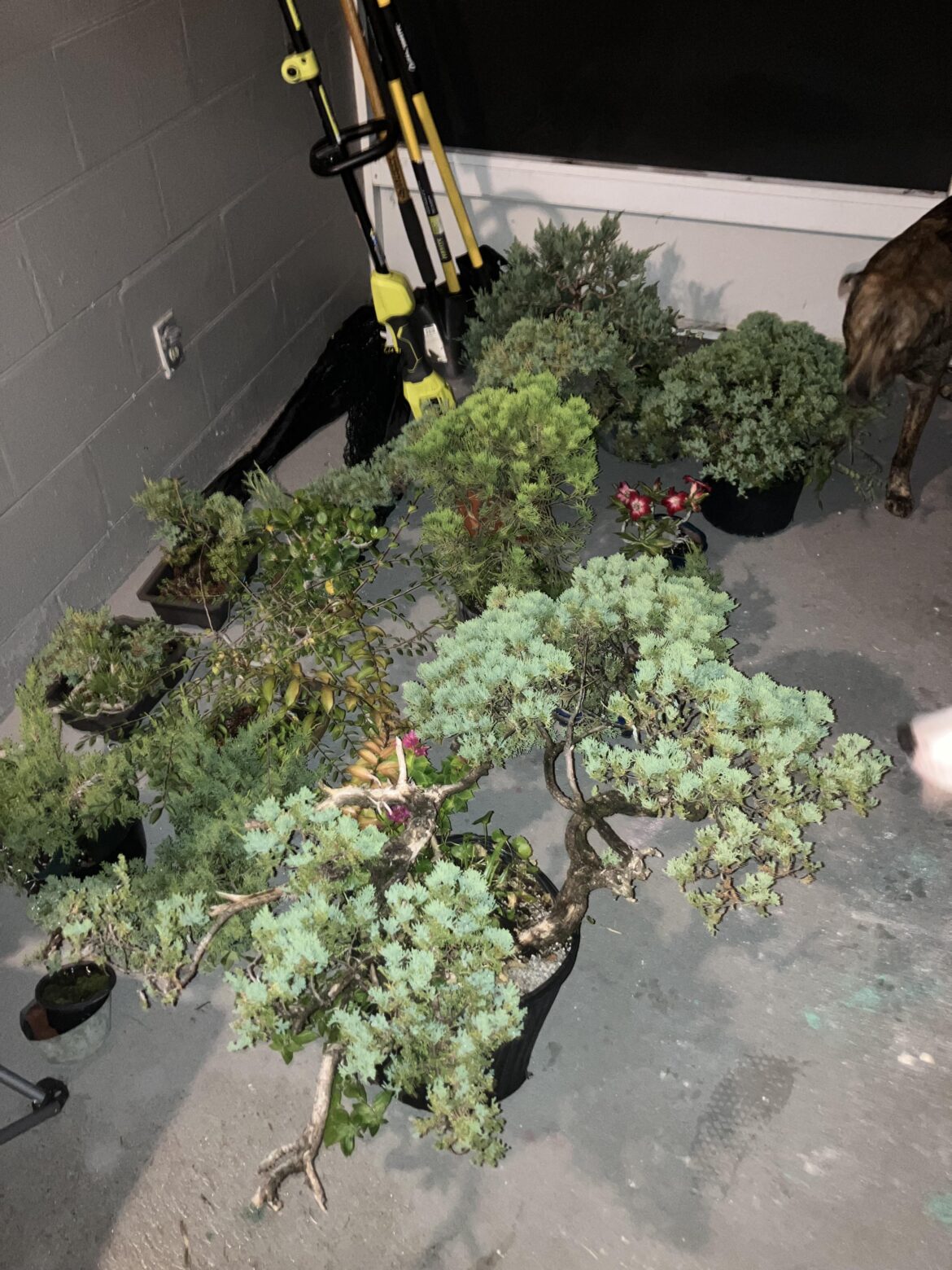 All tucked in and ready for the hurricane 🌀