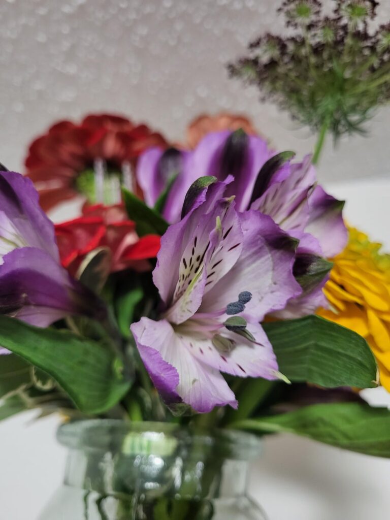 Does anyone know what these purple flowers are?