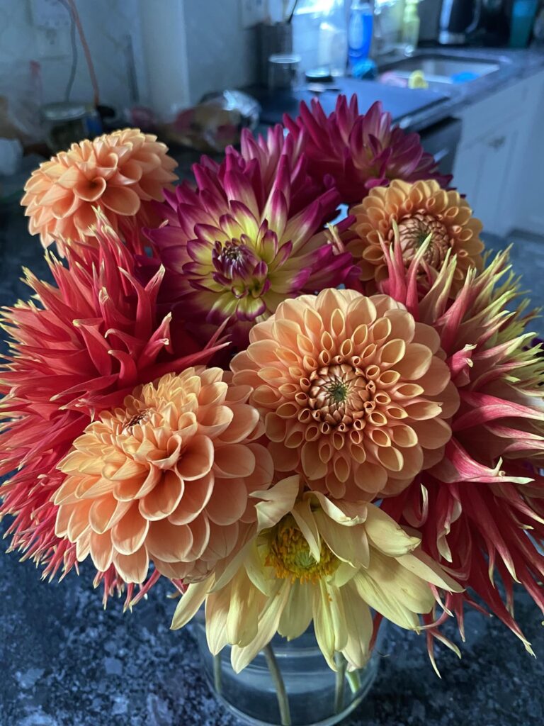 Some new blooms
