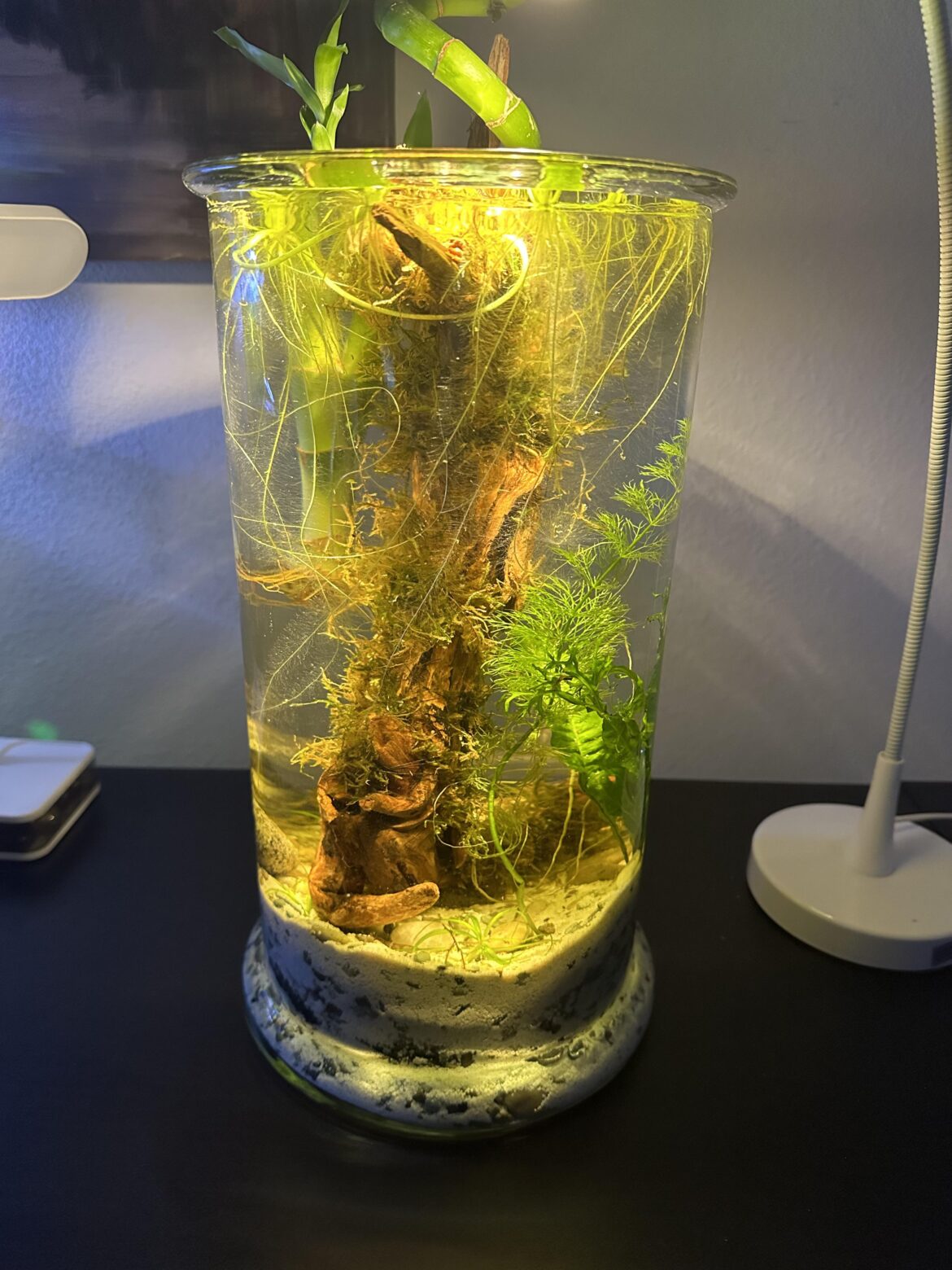 Am I doing this right?