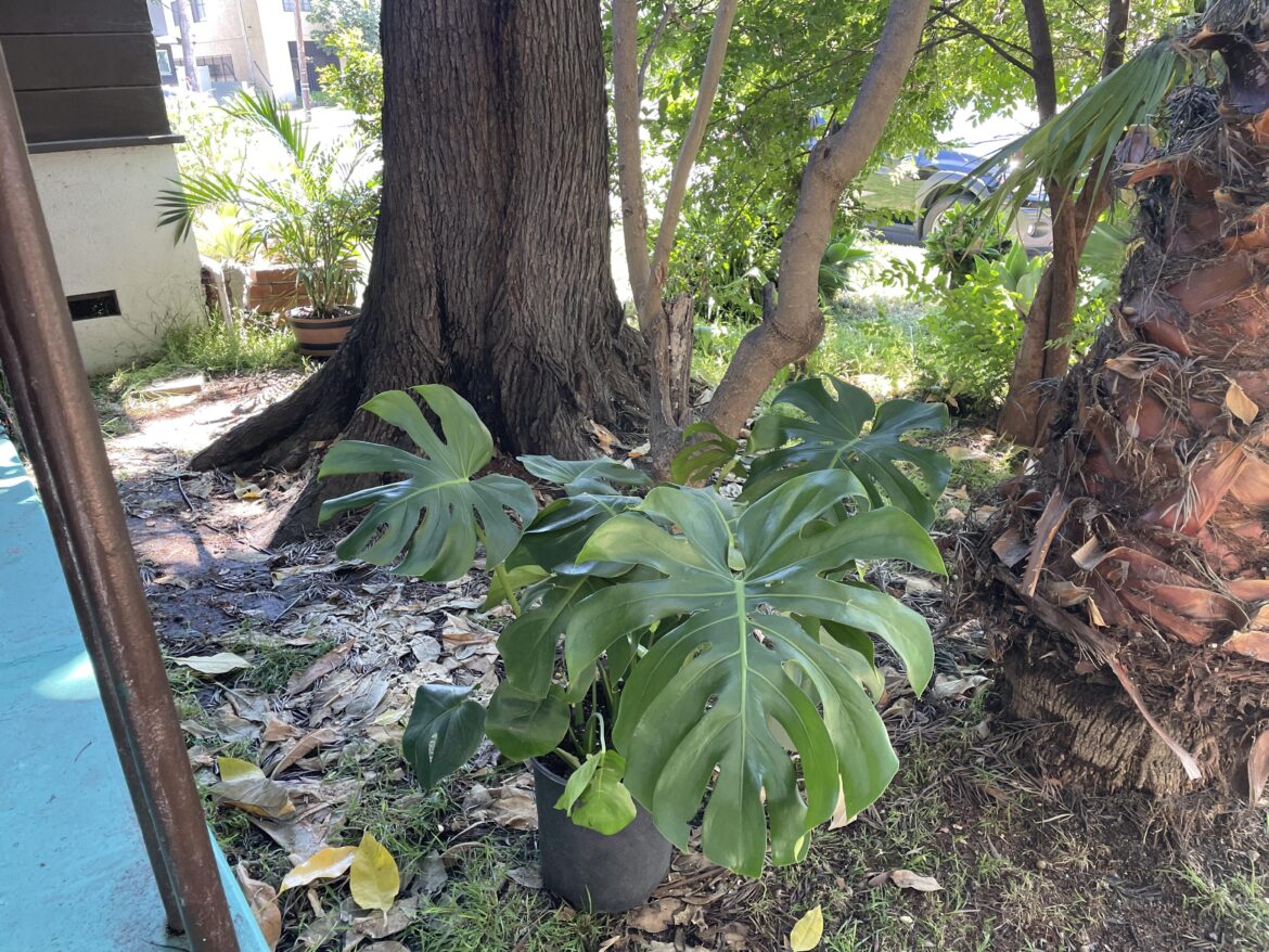 Are these in the right place?