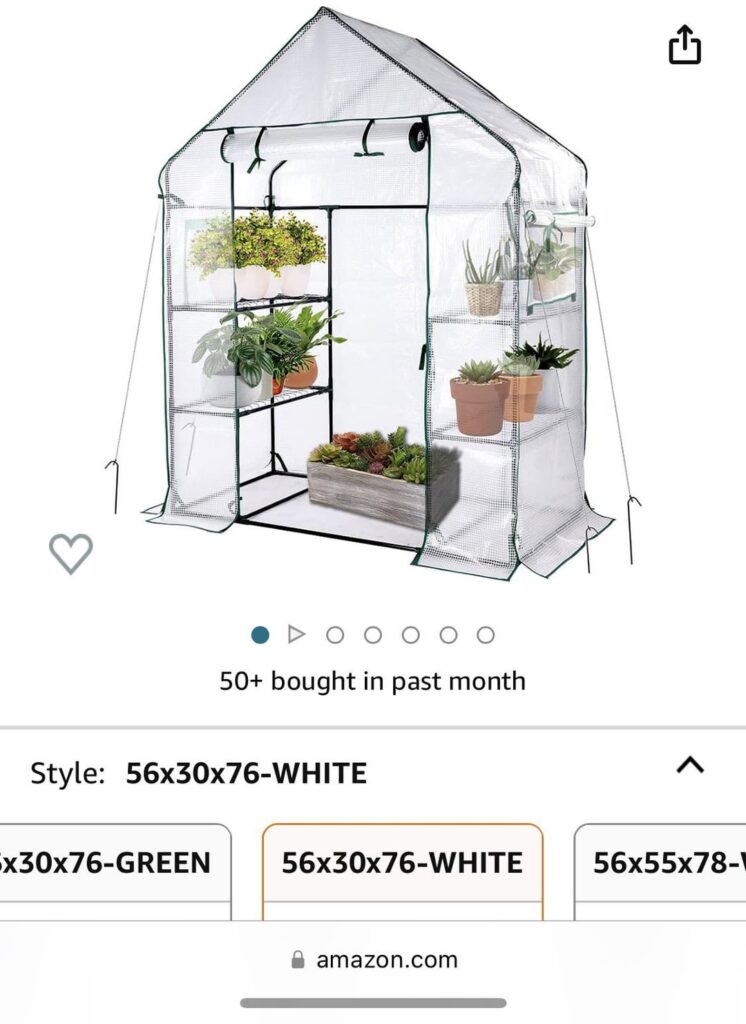 Small Outdoor Greenhouse Setup with Solar Generator