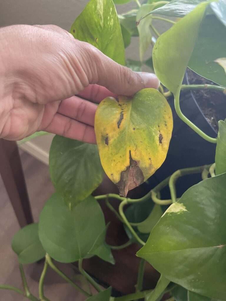 Is this anything to be worried about?