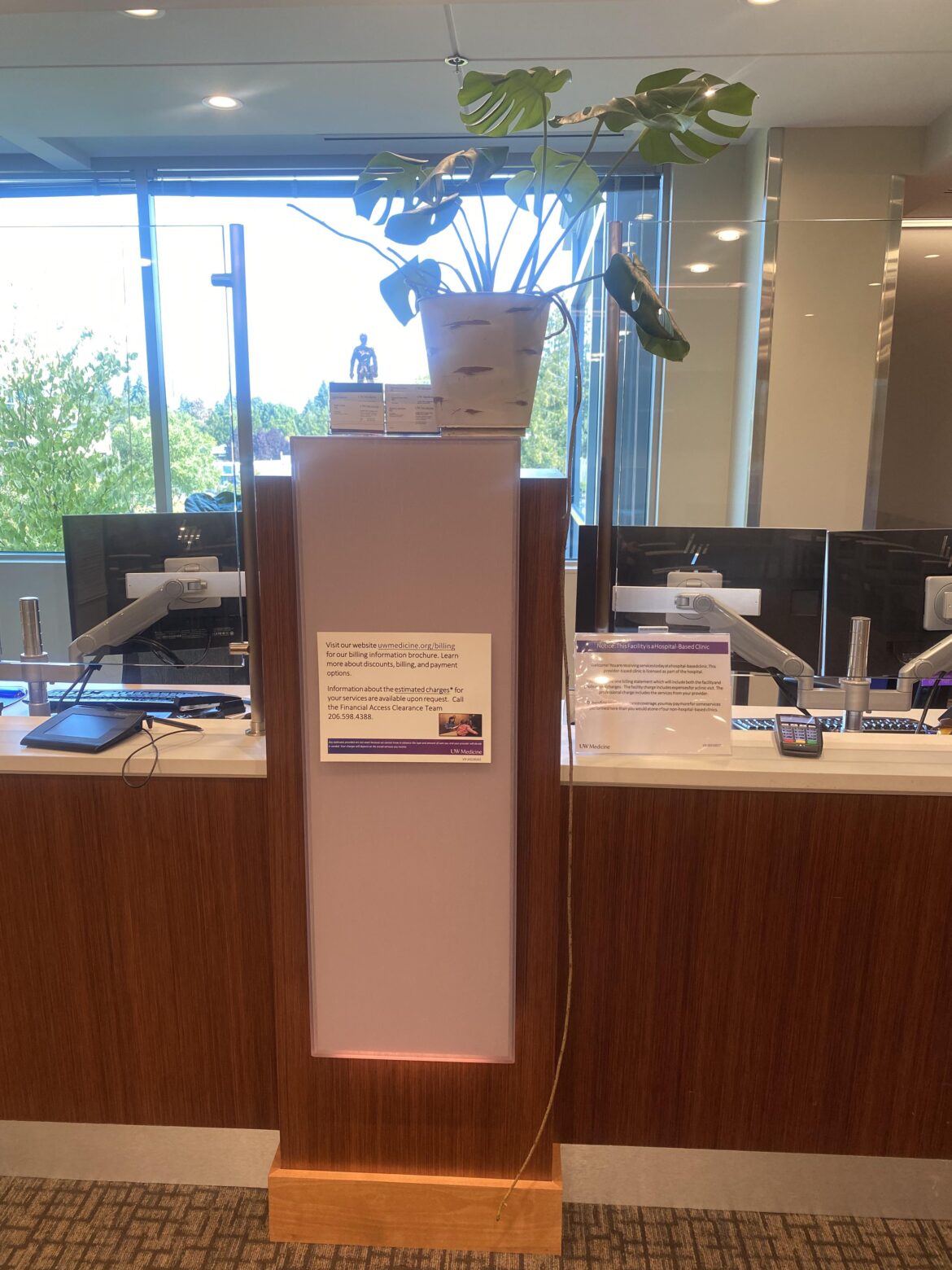 I’m the plant doctor at work. My coworker tells me, “The plant in front of my desk is growing a tail! What do I do?!” 🤣 I’m the plant doctor at work. My coworker tells me, “The plant in front of my desk is growing a tail! What do I do?!” 🤣