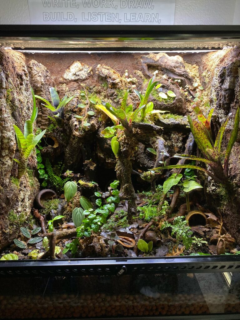 Vivarium misting Vivarium misting