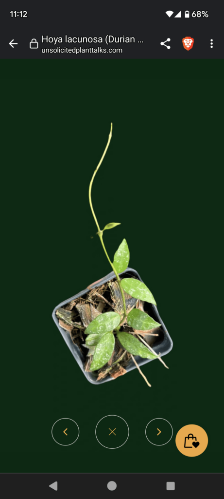 UPT plant haul: expectation vs reality