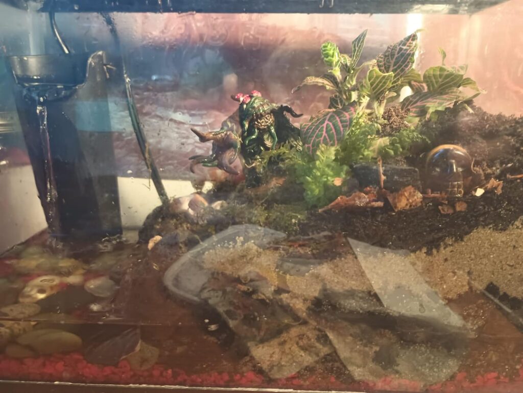 My first paludarium. The journey begins...