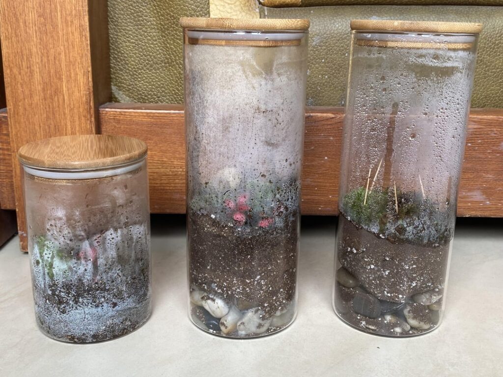 My first attempt at making a terrarium. I sealed these ~20 minutes ago. Is there anything I need to adjust?
