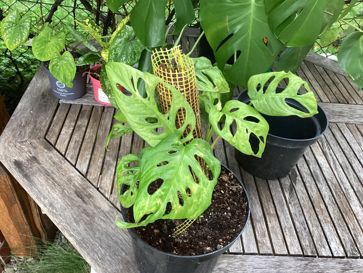 Why is she such a b..?