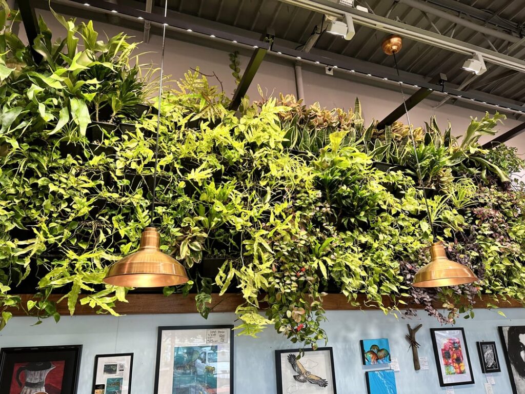 How would you revive this beautiful wall?