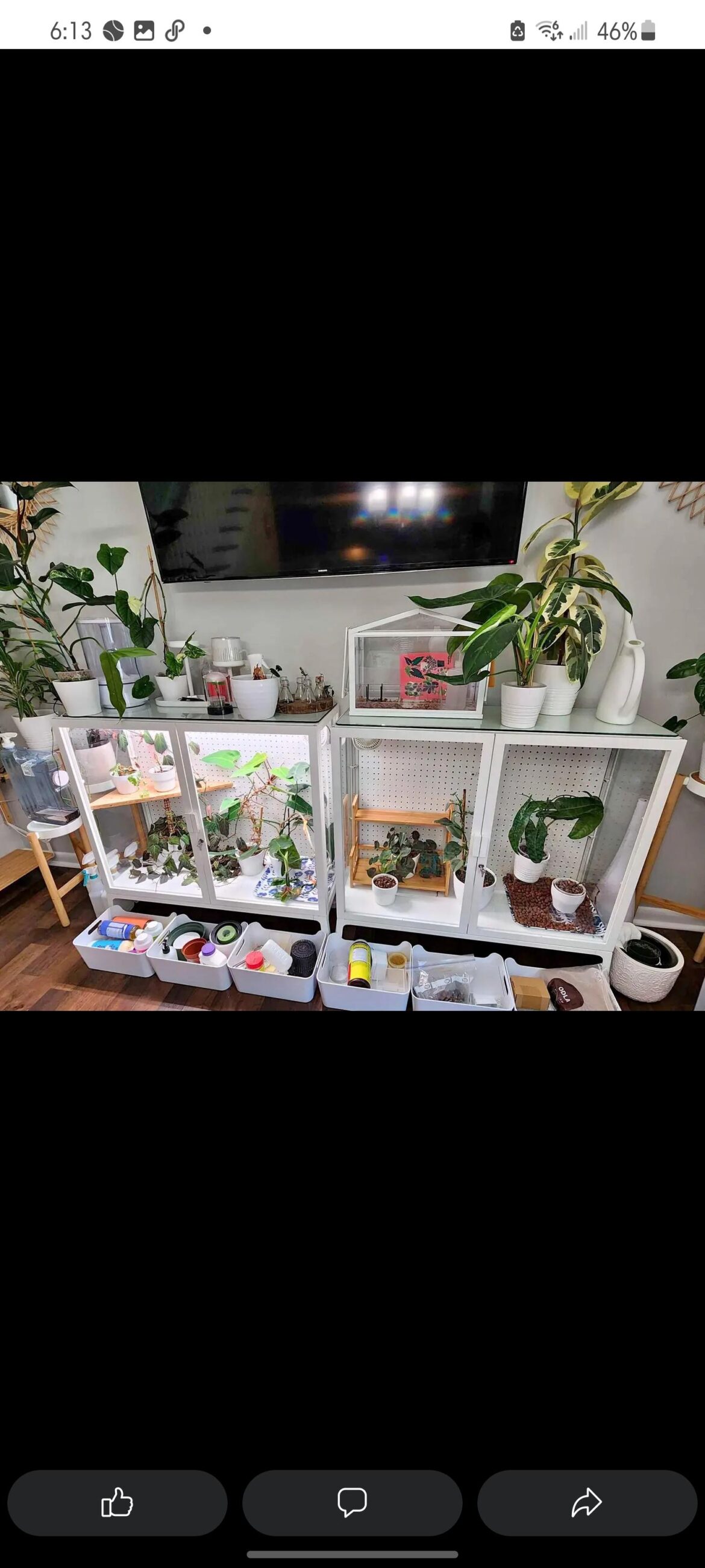 I have more growing room...😀🤗😭😃