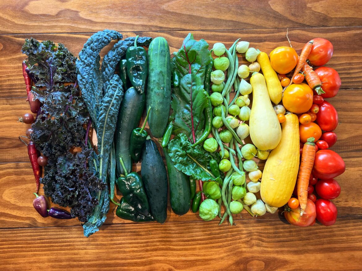August 2023 Garden Haul 🌈