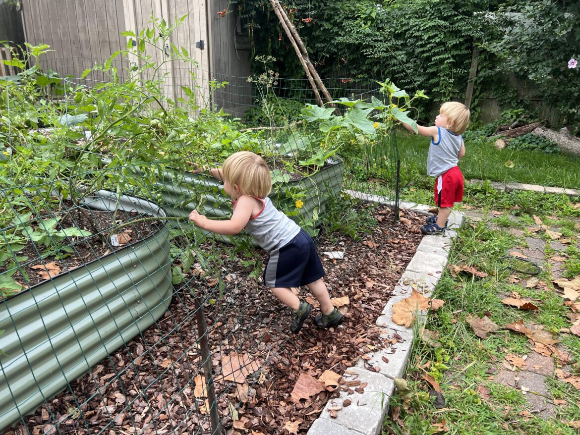Haven’t had any issues with squirrels but the toddlers are wreaking havoc on my tomatoes