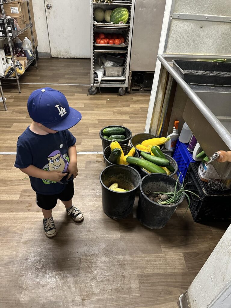 I left my desk Job of 15 years for a vegetable garden on a ranch. I took a pay cut but my quality of life is sky high. I have a lot to learn.