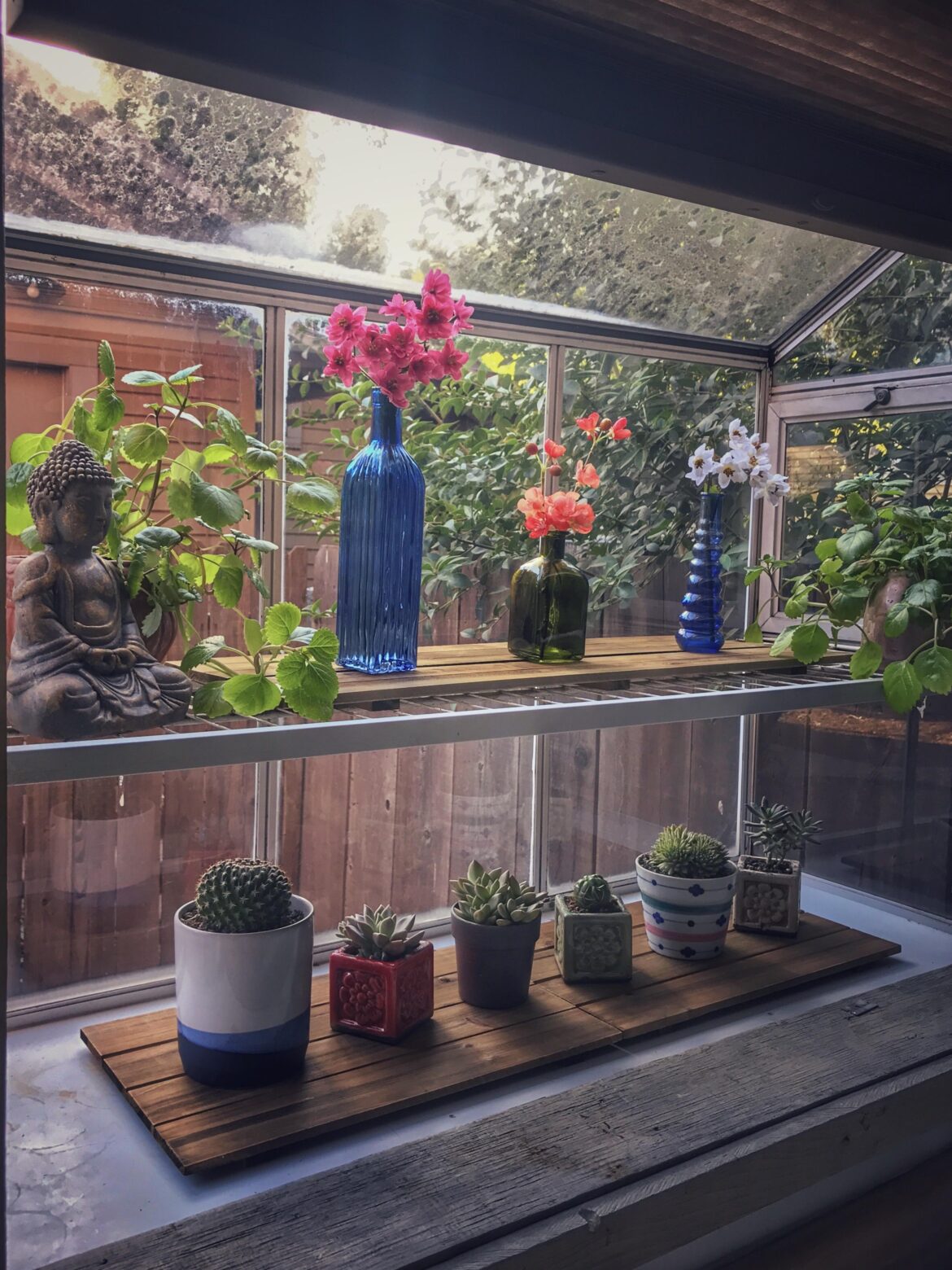My GFs window box that she said nobody on reddit would care about.