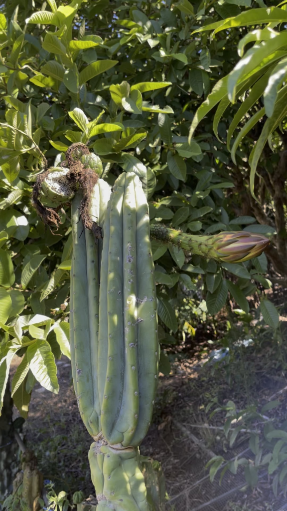 1:25 secs , laugh yer arse off !!!