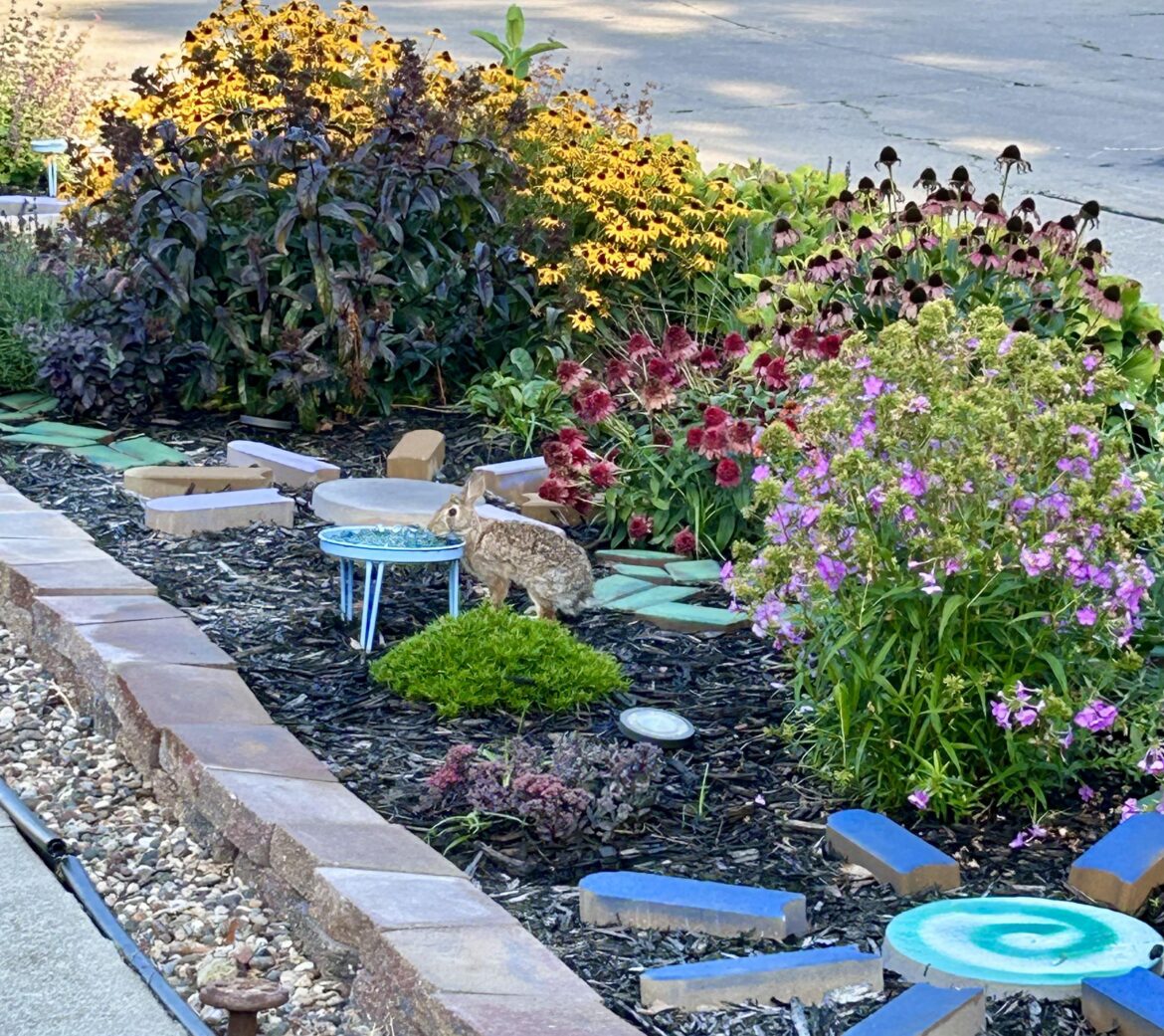 Since I usually just run a plant hospice, this feels sooo good.