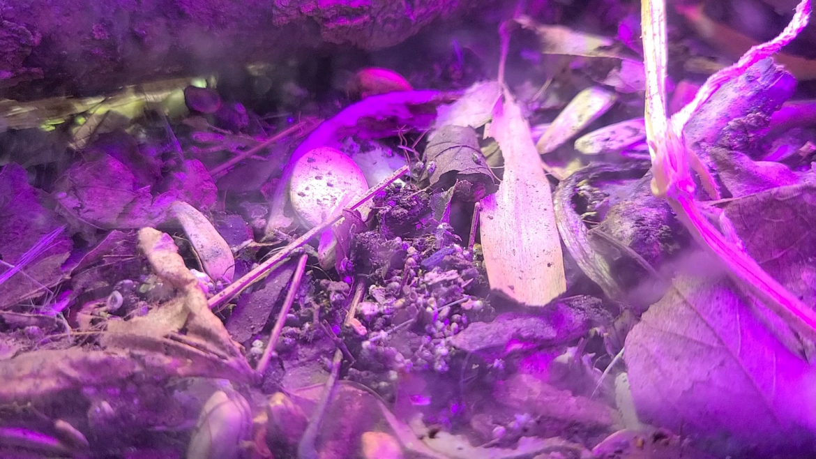 this is what happens when I gently blow into the tank