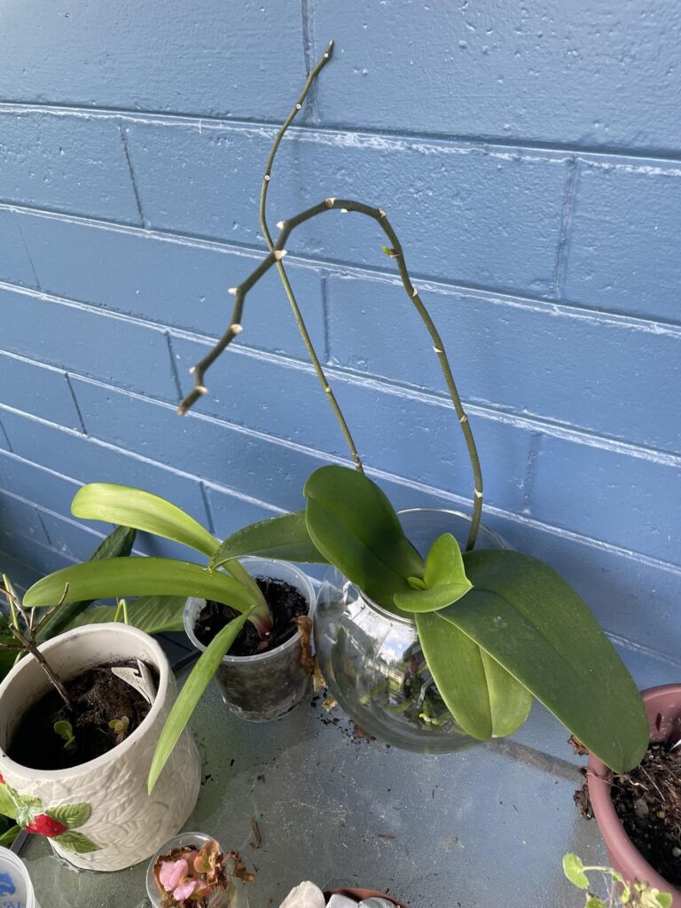 Did I do the right thing?