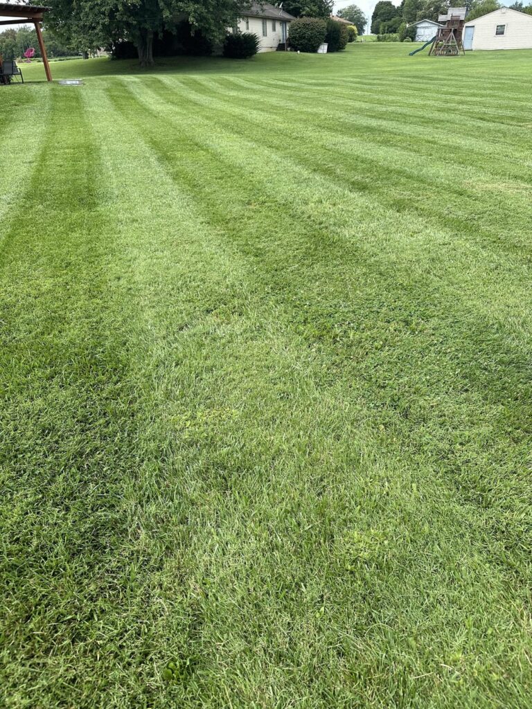 Kinda getting there!