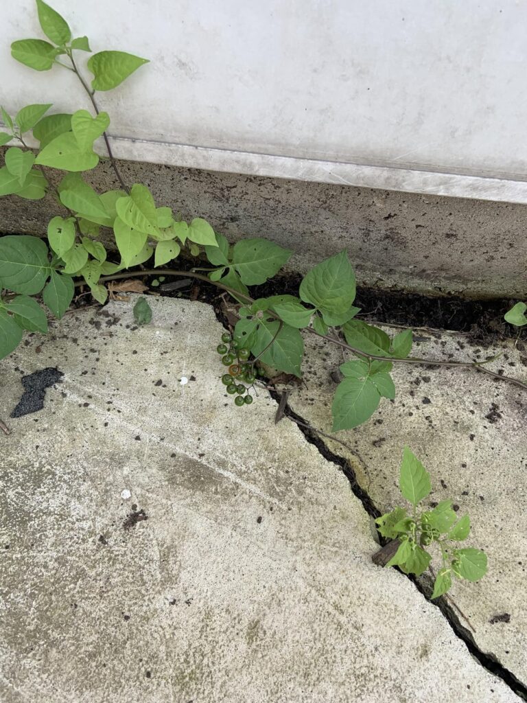 What are these?