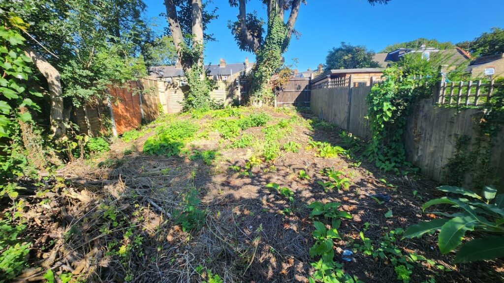 How on earth do I go about turning this into a lawn