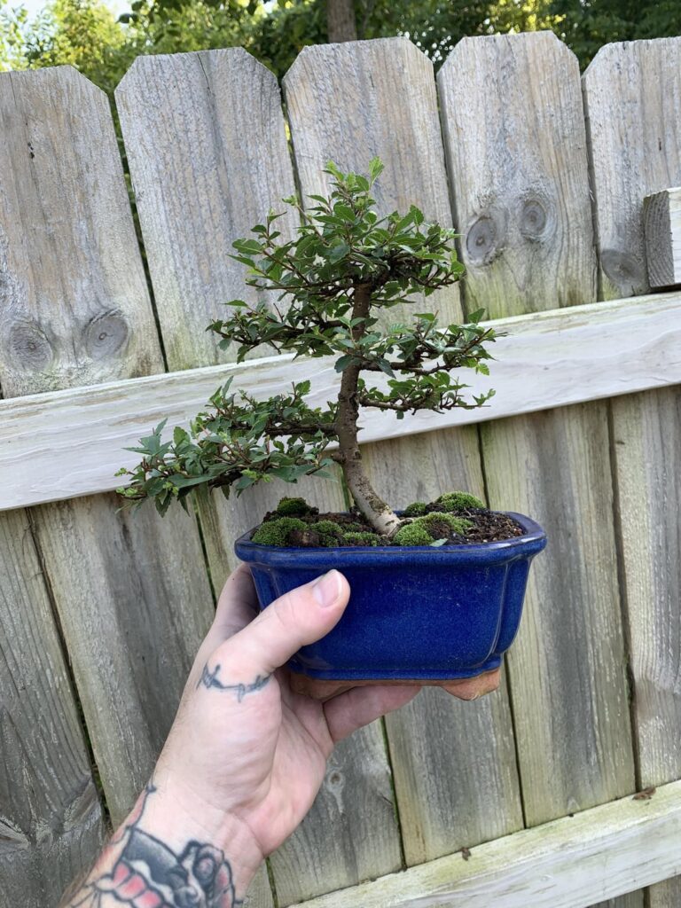 Summer is almost over