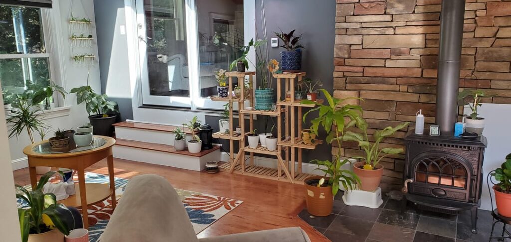 How can I create a favorable winter environment for my houseplants?