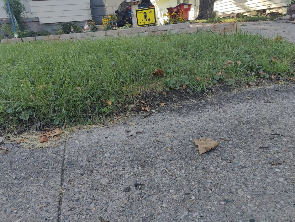 How high should my dirt be around sidewalk?