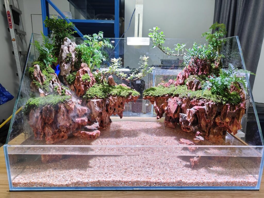 It took me 3 days to complete this paludarium.