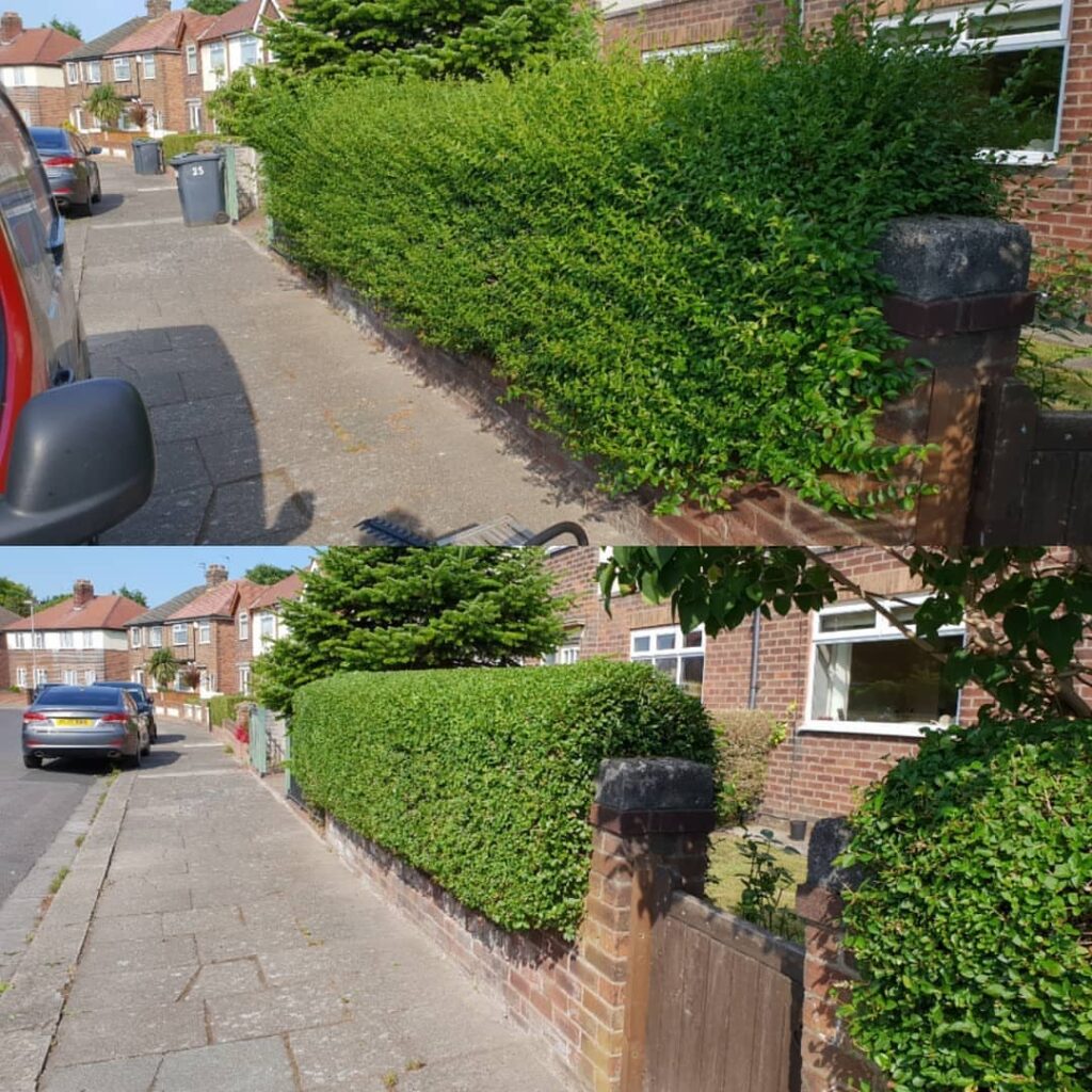 Nobody likes an untidy bush!