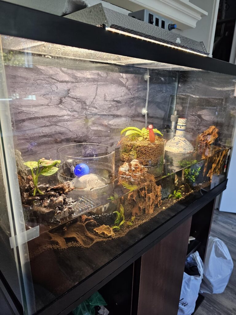 Any ideas to keep condensation off of the glass? Any ideas to keep condensation off of the glass?