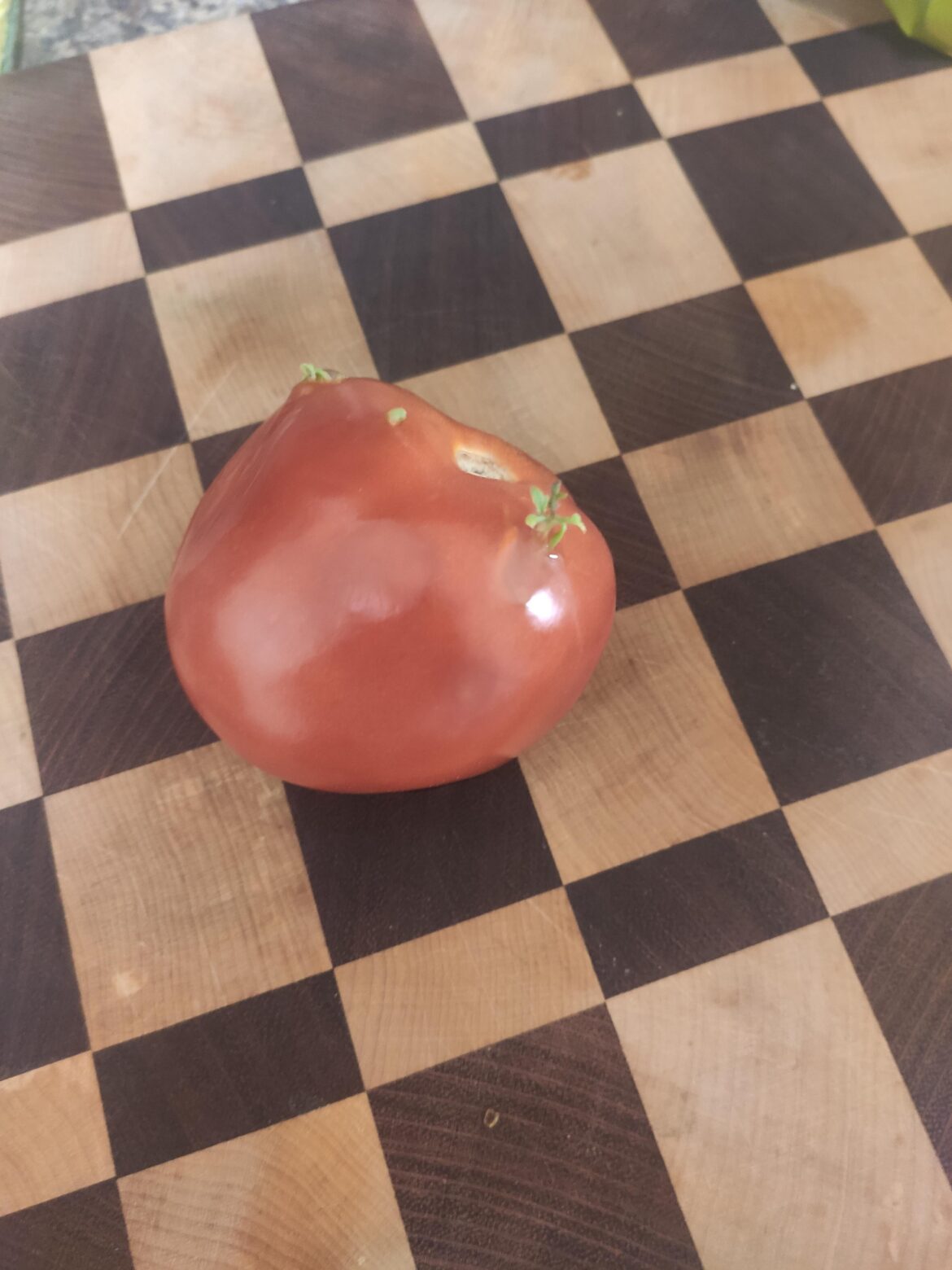 I think my dinner had cordyceps.