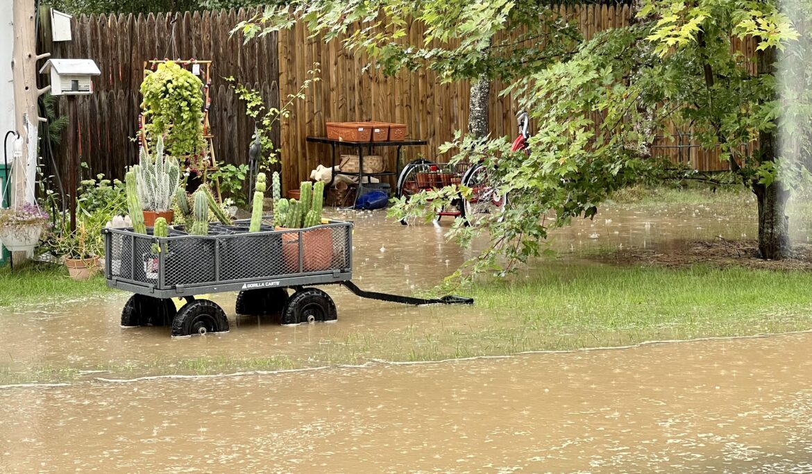 may I suggest these carts for those having a rainier-than-usual summer :-/