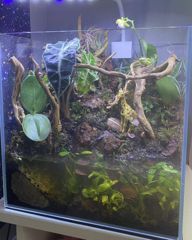 How it started vs how it’s going