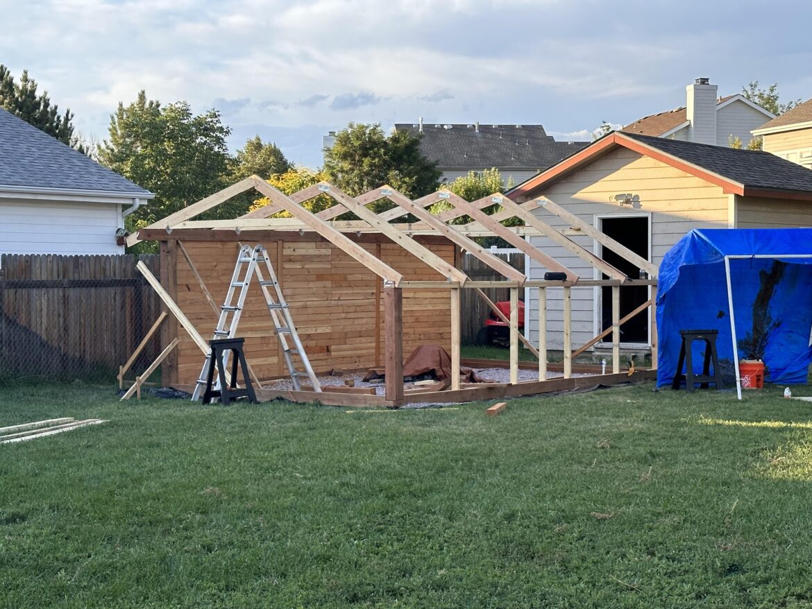 Greenhouse update 3: front wall and rafters.