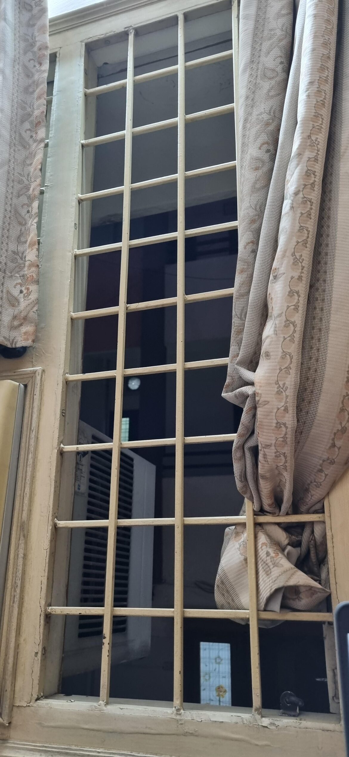 Suggestions for indoor climber for such a grill/window.