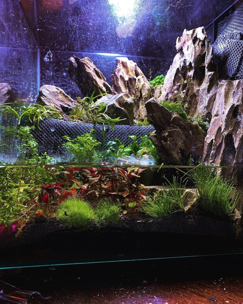 Haven’t posted in a while, here’s my 8 gallon build.