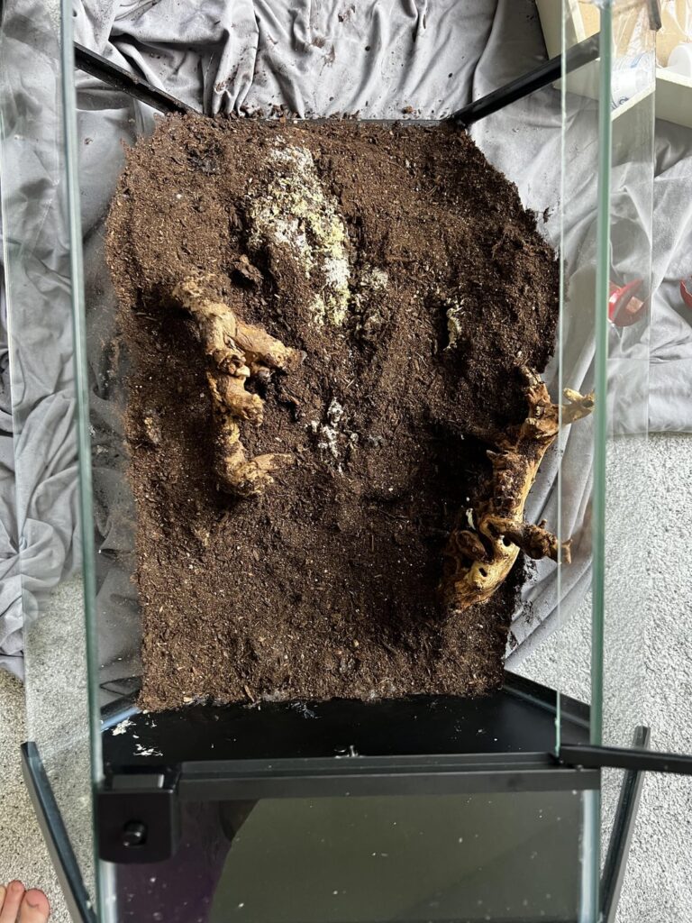 Hi everyone, I made a rookie mistake. Building bioactive terrarium. Accidentally put the background all the way to the base (not leaving room at far back of tank for drainage substrate). Will this be an issue? Or can I still add the substrate and drainage in like normal?