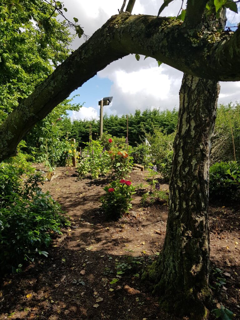 Ideas for toddler's 'secret garden'?