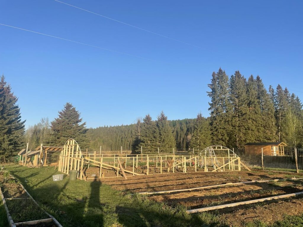 We finally built a hoop house to get some season extension out here in the Alberta Foothills!!
