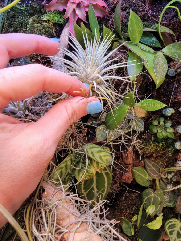 Update on the root, plus others