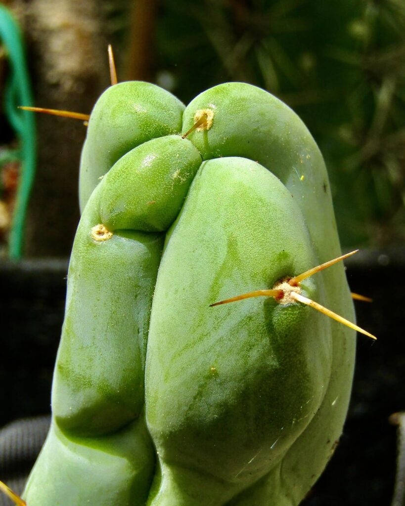 Morning photo dump what’s your favorite?