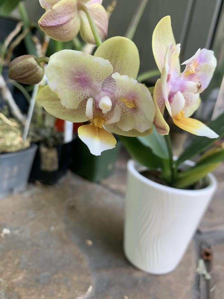 Can anyone tell me what’s going on here?