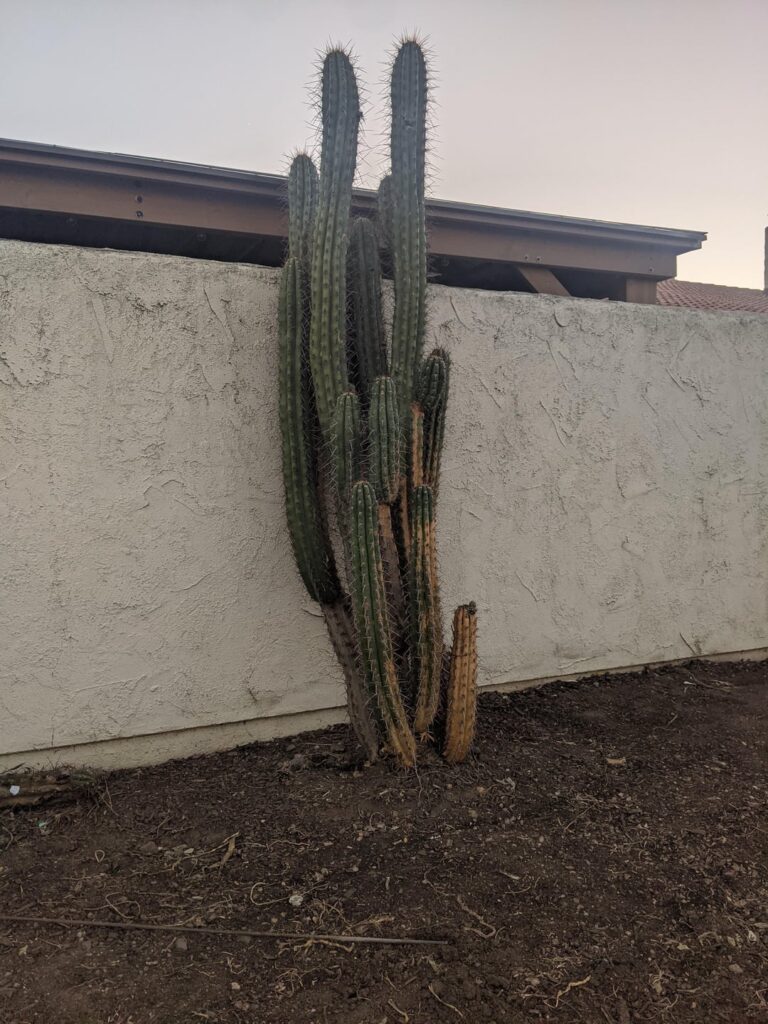 Walked by this one and wasn't sure if it was related. ID Please