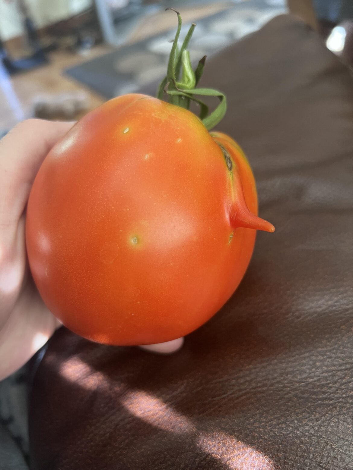 I stand with the pp movement!